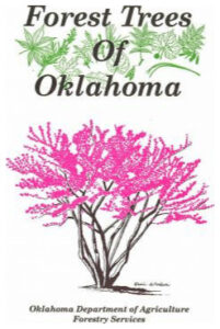 Cover of Forest Trees of Oklahoma