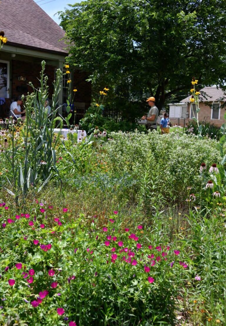 A native front-yard garden in bloom on the 2026 tour