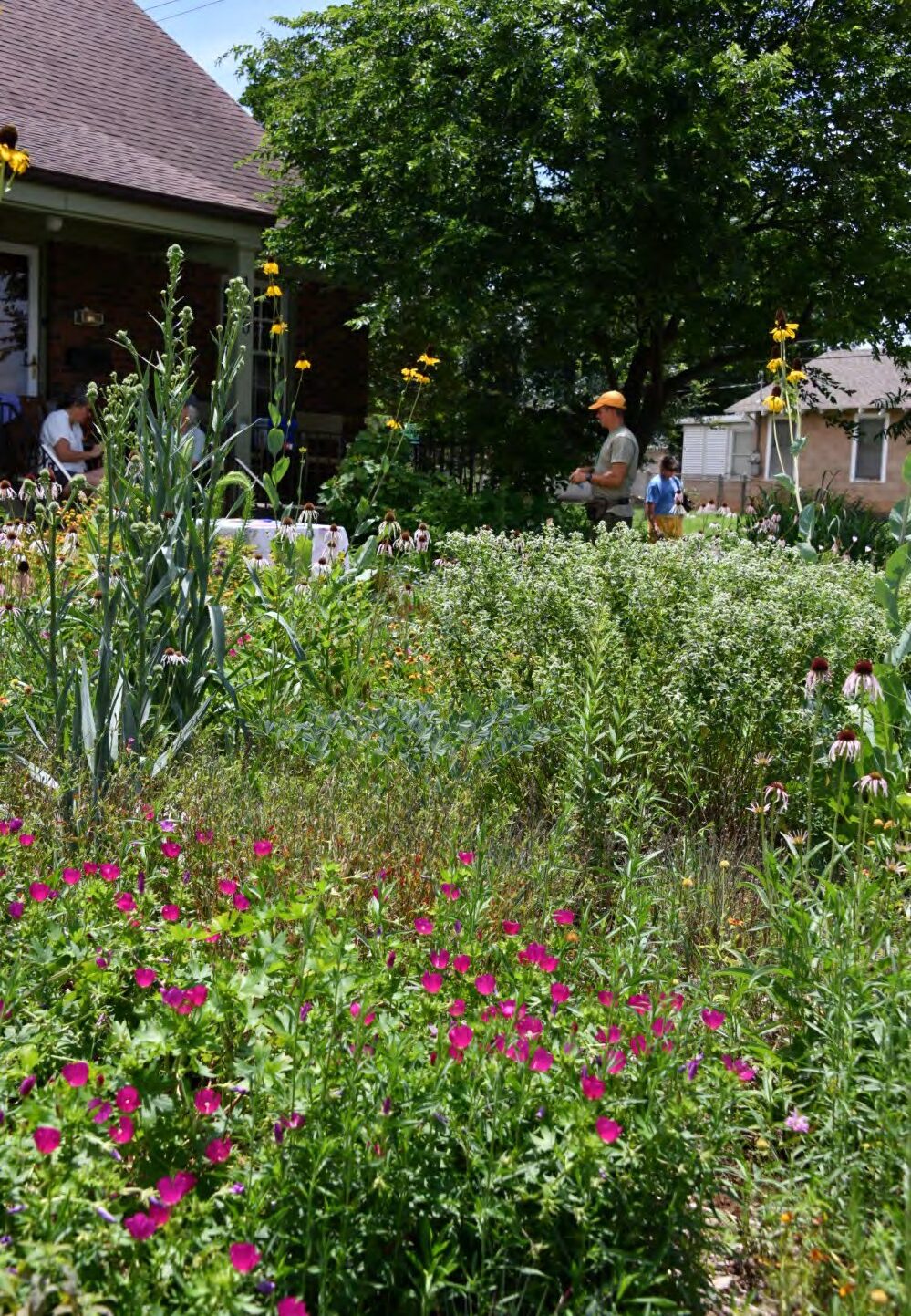 A native front-yard garden in bloom on the 2026 tour