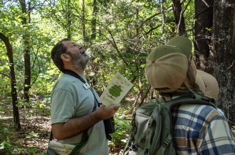 Members on a Wonders of Wildflowers walk
